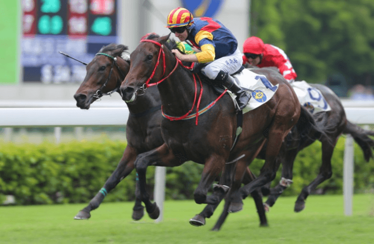 Goexch9: Your Ultimate Destination for Online Sports and Casino Betting in India